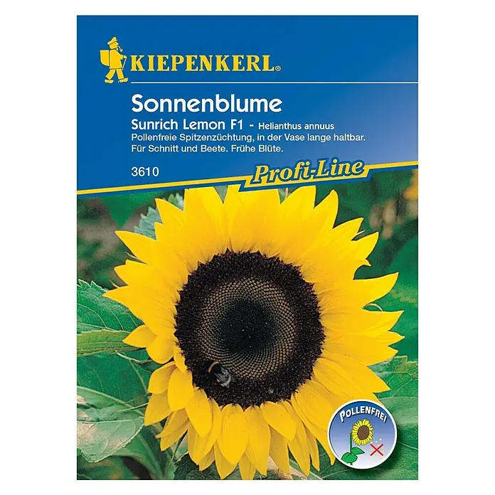 Kiepenkerl Profi-Line Blumensamen Sonnenblume - Helianthus annuus, Sunrich Lemon, Blütezeit: Juli - Sonnenblumen-Samen der Sorte 'Sunrich Lemon F1' von Kiepenkerl. Ideal für Beet und Vase, pollenfrei und früh blühend.