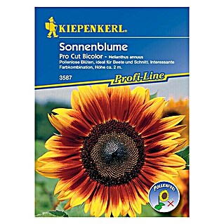 Kiepenkerl Profi-Line Blumensamen Sonnenblume (Helianthus annuus, Pro Cut Bicolor, Blütezeit: Juli)