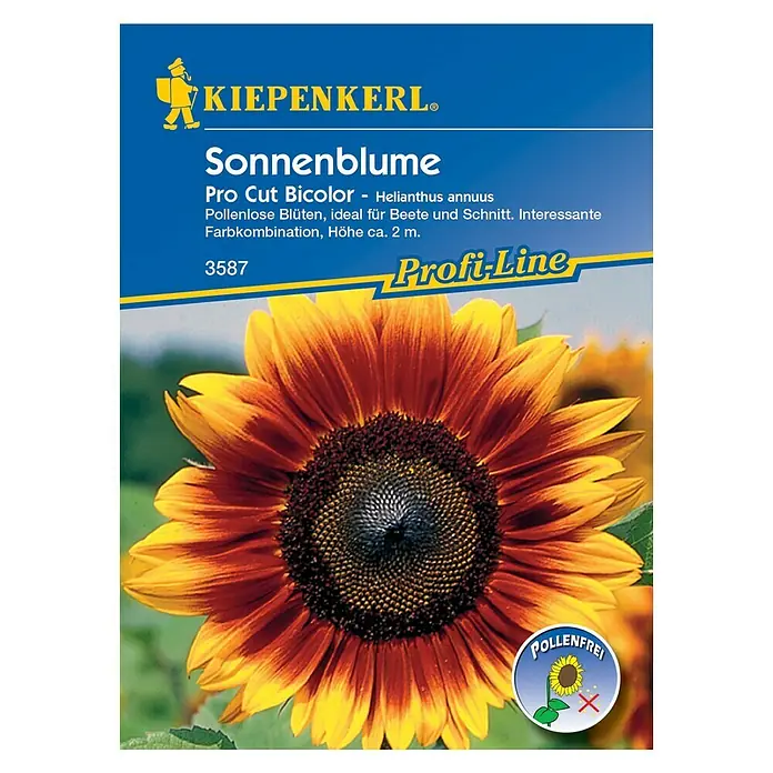 Kiepenkerl Profi-Line Blumensamen Sonnenblume - Helianthus annuus, Pro Cut Bicolor, Blütezeit: Juli - Abbildung einer 'Sonnenblume Pro Cut Bicolor' Samenpackung von Kiepenkerl, einer pollenfreien Sonnenblumensorte mit zweifarbigen Blütenblättern.