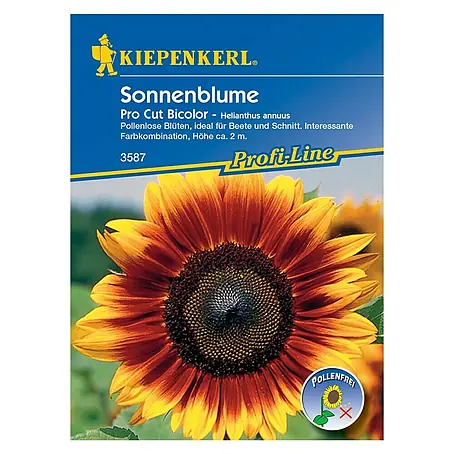 Kiepenkerl Profi-Line Blumensamen Sonnenblume