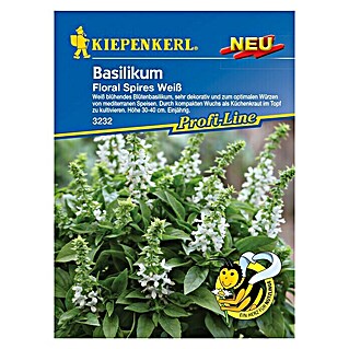 Kiepenkerl Profi-Line Kräutersamen Blütenbasilikum (Ocimum basilicum, Floral Spires Weiß, Saatzeit: April)