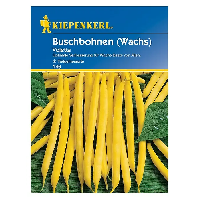 Kiepenkerl Gemüsesamen Buschbohne - Voletta, Phaseolus vulgaris var. nanus, Erntezeit: Juli - Das Bild zeigt eine Packung Kiepenkerl Buschbohnen (Wachs) Voletta Samen, die eine reiche Ernte goldgelber Wachsbohnen versprechen.