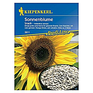 Kiepenkerl Profi-Line Blumensamen Sonnenblume (Helianthus annuus, Snack, Blütezeit: Juli)