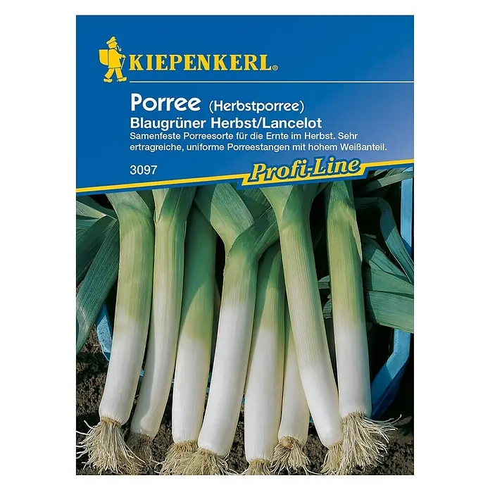 Kiepenkerl Profi-Line Gemüsesamen Porree - Lancelot, Allium porrum, Erntezeit: August - Produktbild von "Kiepenkerl Porree Herbst/Lancelot"-Samen. Ideal für eine ertragreiche Herbsternte mit hohem Weißanteil.