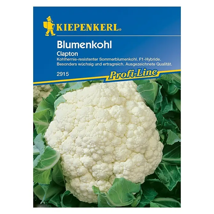 Kiepenkerl Profi-Line Gemüsesamen BlumenkohlClapton F1, Brassica oleracea var. botrytis, Erntezeit: Juli