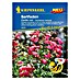 Kiepenkerl Profi-Line Blumensamen Bartfaden Carillo Red 