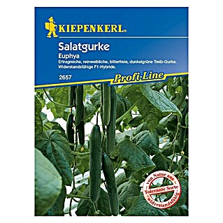 Kiepenkerl Profi-Line Gemüsesamen Salatgurke (Euphya, Cucumis sativus, Erntezeit: Juli)