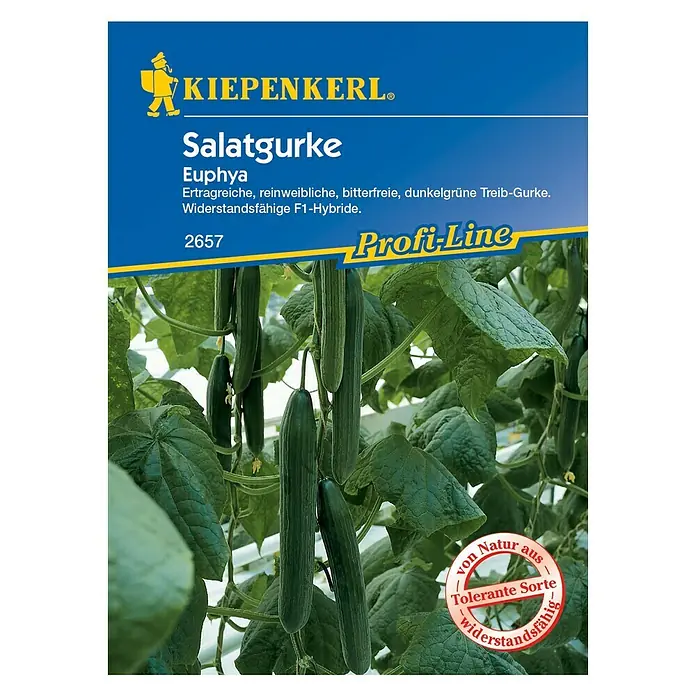 Kiepenkerl Profi-Line Gemüsesamen SalatgurkeEuphya, Cucumis sativus, Erntezeit: Juli