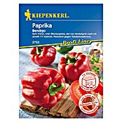 Kiepenkerl Profi-Line Gemüsesamen Blockpaprika (Bendigo, Capsicum annuum, Erntezeit: August) | BAUHAUS