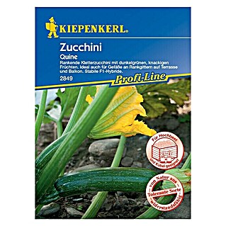 Kiepenkerl Profi-Line Gemüsesamen Zucchini (Quine, Cucurbita pepo, Erntezeit: Juli)