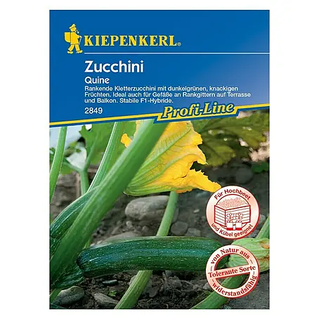 Kiepenkerl Profi-Line Gemüsesamen Zucchini