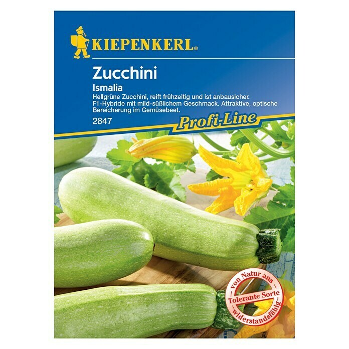 Kiepenkerl Profi-Line Gemüsesamen Zucchini (Ismalia, Cucurbita pepo, Erntezeit: Juli) | BAUHAUS