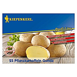 Kiepenkerl Profi-Line Pflanzkartoffeln (Solanum tuberosum, Gunda, 25 Stk., Erntezeit: August)