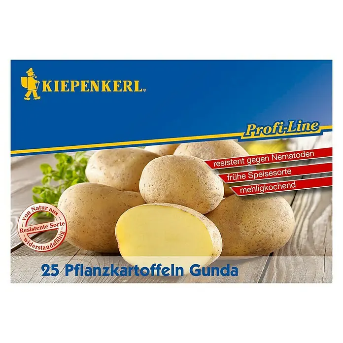 Kiepenkerl Profi-Line Pflanzkartoffeln - Solanum tuberosum, Gunda, 25 Stk., Erntezeit: August - Produktbild von "Kiepenkerl" Pflanzkartoffeln "Gunda", resistent gegen Nematoden, frühe Sorte, mehligkochend und von Natur aus widerstandsfähig.