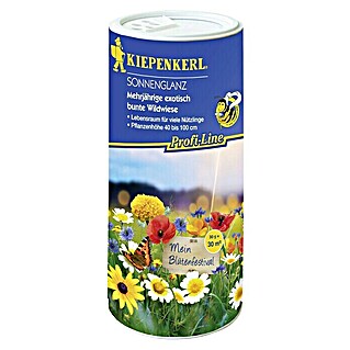 Kiepenkerl Profi-Line Blumensamenmischung (Sonnenglanz, Verschiedene Sorten, Blütezeit: Juni, 30 m²)