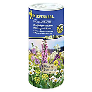 Kiepenkerl Profi-Line Blumensamenmischung (Natursymphonie, Verschiedene Sorten, Blütezeit: Juni, 30 m²)