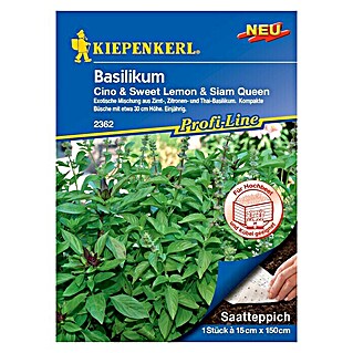 Kiepenkerl Profi-Line Kräutersamen Basilikum (Cino, Sweet Lemon & Siam Queen, Ocimum basilicum, Saatzeit: Mai, Erntezeit: Juli)