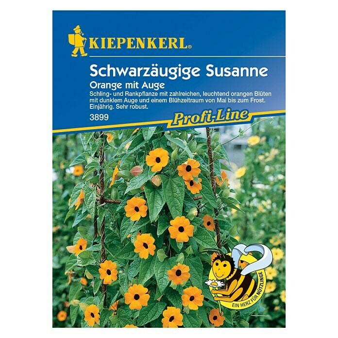 Kiepenkerl Profi-Line Blumensamen Schwarzäugige Susanne Orange mit Auge (Thunbergia alata, Orange) | BAUHAUS