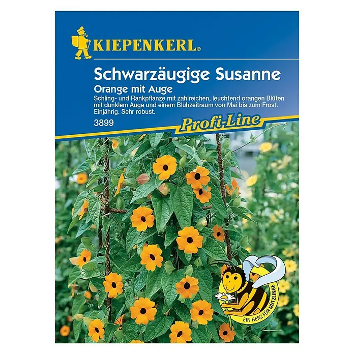 Kiepenkerl Profi-Line Blumensamen Schwarzäugige Susanne Orange mit Auge 3889 - Thunbergia alata, Orange - Samenpackung Schwarzäugige Susanne 'Orange mit Auge' von Kiepenkerl, eine farbenfrohe Kletterpflanze.
