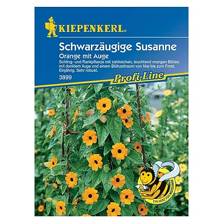 Kiepenkerl Profi-Line Blumensamen Schwarzäugige Susanne Orange mit Auge 3889