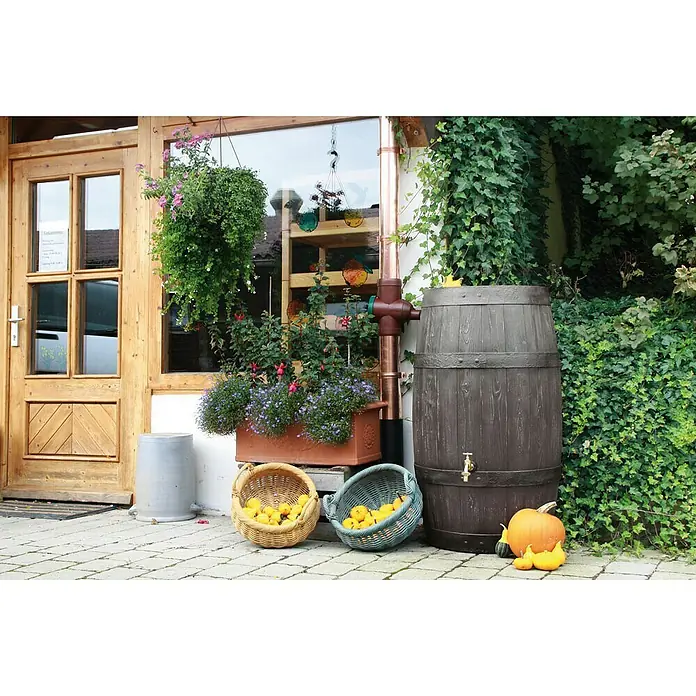 Arves Regenspeicher Barrique - 250 l, Dunkelbraun - Gartenambiente mit Regentonne in Holzoptik, Körben voller Früchte und Kürbissen vor einem Gebäude. Die Regentonne ist ein echter Blickfang.