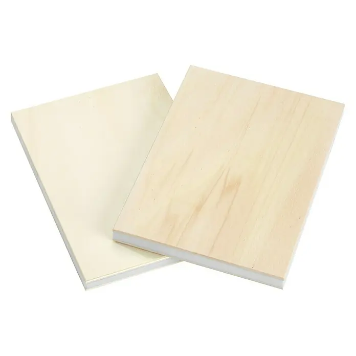 Garnica Ultralight Leichtbauplatte Fixmaß - Pappel, 2.500 x 1.220 x 30 mm - Zwei Holzpaneele, eines unbehandelt und eines weiß grundiert, perfekt für Kunstprojekte und Malerei.
