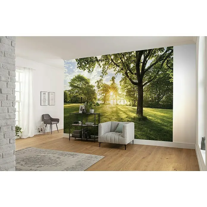 Komar Fototapete Golden Moment - 8 -tlg., B x H: 368 x 254 cm, Papier - Ein Wohnraum mit einer Fototapete, die eine sonnendurchflutete Baumlandschaft zeigt, schafft eine beruhigende Atmosphäre.