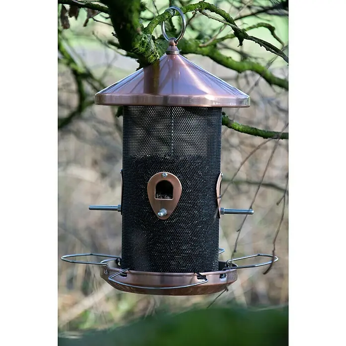 Dobar Futterspender - Metall, Kupfer - Ein stilvoller, zylinderförmiger Vogelfutterspender mit Kupferakzenten hängt an einem Baum und bietet Wildvögeln eine Futterstelle im Garten.