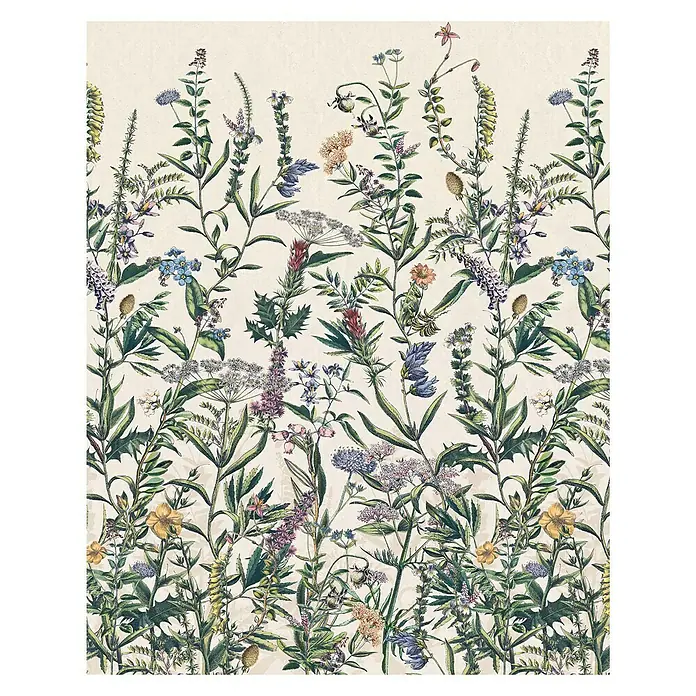 Komar Fototapete Flowering - 4 -tlg., B x H: 200 x 250 cm, Vlies - Eine botanische Illustration mit einer Vielfalt an Wildblumen und Pflanzen auf einem cremefarbenen Hintergrund.
