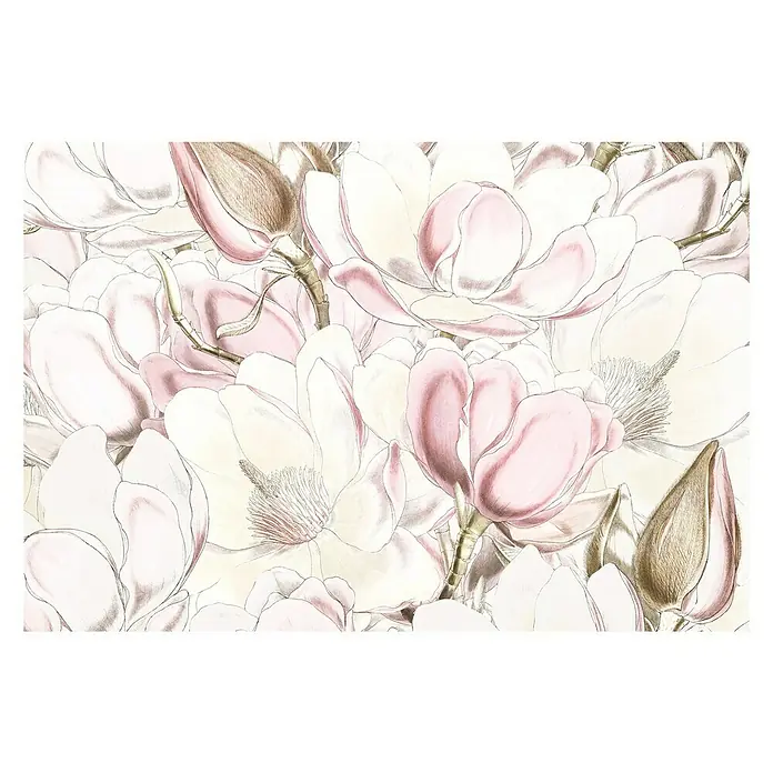 Komar Fototapete Petals - 4 -tlg., B x H: 368 x 248 cm, Vlies - Elegantes Wandbild mit zarten Magnolienblüten in sanften Rosa- und Cremetönen, das eine ruhige und stilvolle Atmosphäre in jeden Raum bringt.