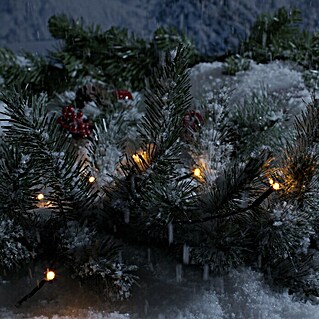 Light Creations LED-Lichterkette Novalight (Außen, Lichtfarbe: Bernstein, Anzahl Leuchtmittel: 160 Stk., Netzbetrieben)