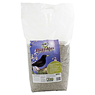 Pfiffikus Wildvogelfutter (10 kg, Geschält)