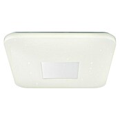 Globo LED stropna svjetiljka  (24 W, D x Š x V: 43,5 x 43,5 x 6,5 cm, Bijele boje, Topla bijela) | BAUHAUS