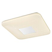 Globo LED stropna svjetiljka  (24 W, D x Š x V: 43,5 x 43,5 x 6,5 cm, Bijele boje, Topla bijela) | BAUHAUS