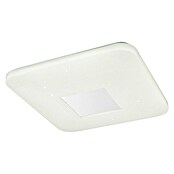 Globo LED stropna svjetiljka  (24 W, D x Š x V: 43,5 x 43,5 x 6,5 cm, Bijele boje, Topla bijela) | BAUHAUS