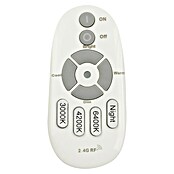Globo LED stropna svjetiljka  (24 W, D x Š x V: 43,5 x 43,5 x 6,5 cm, Bijele boje, Topla bijela) | BAUHAUS