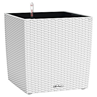 Lechuza Cottage Pflanzkübel eckig Cube (Außenmaß (L x B x H): 50 x 50 x 50 cm, Kunststoff, Weiß)