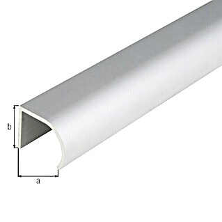Alberts Perfil angular (L x An x Al: 1.000 x 19 x 25 mm, Aluminio, Plateado)