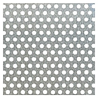 Alberts Chapa perforada de círculos (120 x 1.000 mm, Espesor: 0,8 mm, Aluminio)
