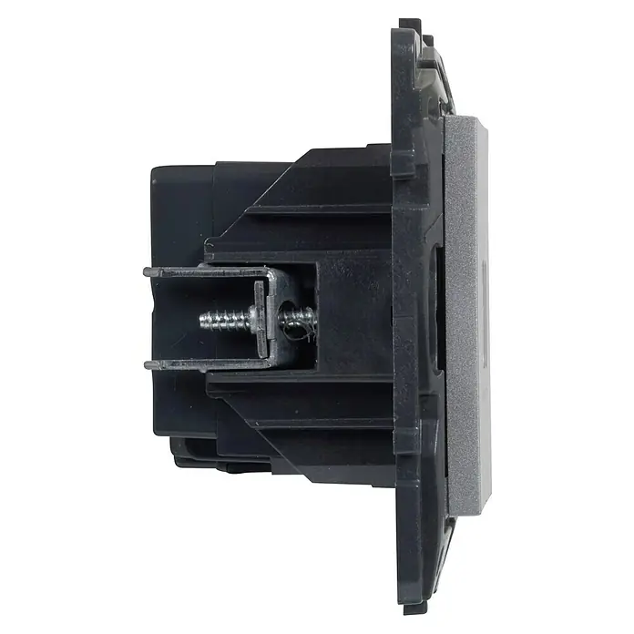 Legrand Niloé Step Toma USB - Aluminio, x 2, Plástico, Instalar - Vista lateral de un interruptor, mostrando su placa frontal gris y los tornillos internos para el montaje.