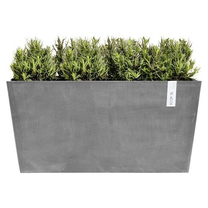 Ecopots Pflanzkasten Paris (Außenmaß (L x B x H): 80,3 x 38 x 40,5 cm, Kunststoff, Grau) | BAUHAUS