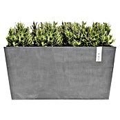Ecopots Pflanzkasten Paris (Außenmaß (L x B x H): 80,3 x 38 x 40,5 cm, Kunststoff, Grau) | BAUHAUS