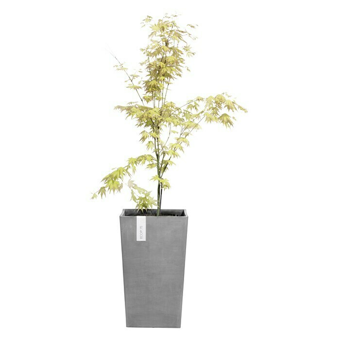 Ecopots Rotterdam Pflanzsäule eckig (Außenmaß (L x B x H): 30 x 30 x 50 cm, Kunststoff, Grau) | BAUHAUS