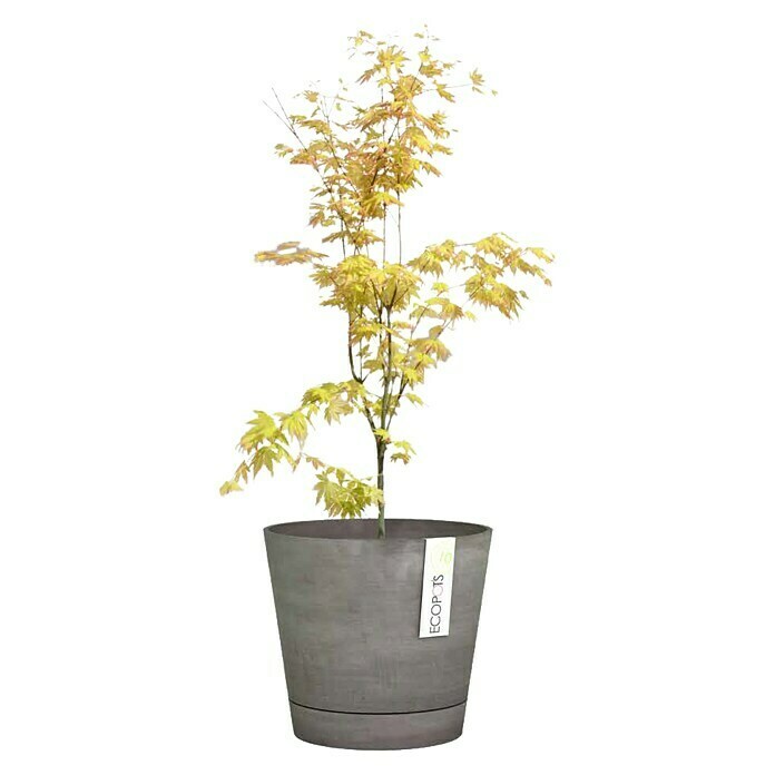 Ecopots Pflanztopf Venice (Außenmaß (Ø x H): 30 x 26 cm, Kunststoff, Grau) | BAUHAUS