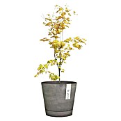 Ecopots Pflanztopf Venice (Außenmaß (Ø x H): 30 x 26 cm, Kunststoff, Grau) | BAUHAUS