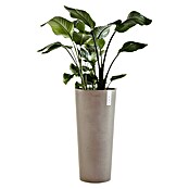 Ecopots Amsterdam Pflanzsäule rund High (Außenmaß (Ø x H): 32,5 x 70 cm, Kunststoff, Braungrau) | BAUHAUS