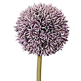 Kunstblume Allium (Lila, 67 cm)
