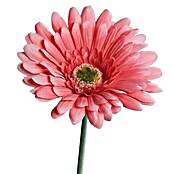 Kunstblume Gerbera (Pink, 56 cm) | BAUHAUS