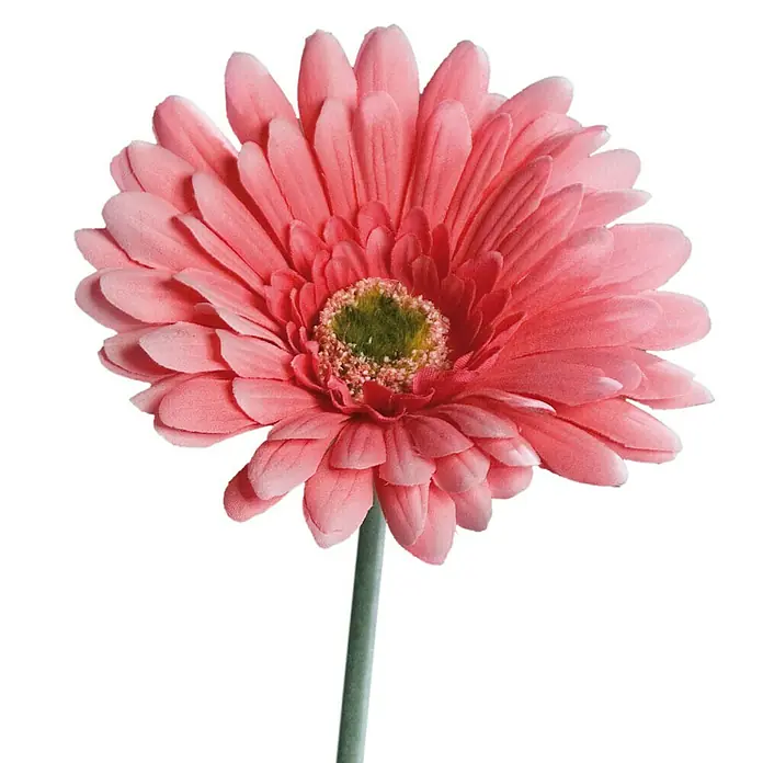 Kunstblume Gerbera - Pink, 56 cm - Nahaufnahme einer einzelnen rosa Gerbera-Gänseblümchenblüte mit einem grünen Zentrum und einem grünen Stiel vor einem schwarzen Hintergrund.