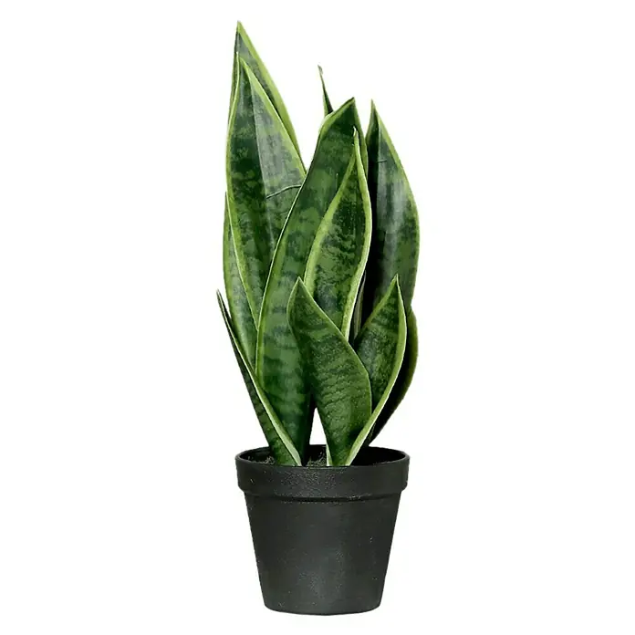 Kunstpflanze Sanseveria - Höhe: 40 cm, Grün, Kunststoff - Ein detailreiches Bild einer Kunstpflanze Sansevieria in einem schwarzen Topf, ideal für moderne Dekorationen.